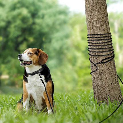 Long Dog Training Leash, 30 FT Tie Out Rope Check Cord with Padded Handle, Reflective Recall Lead for Puppy and Small Dogs, Black ft(Pack of 1).