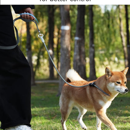 Tangle-Free Slip Leads for Dogs, 6 FT Leash with Padded Double Handle, Reflective Nylon Training Small Medium Dogs 15-40 Lbs, Gray Feet(15-40lbs).