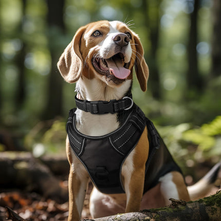 6FT × 1'' Dog Leash and Collar (18-28"), Reflective Soft Neoprene Padded Pet Collars Leashes for Extra Large Dog, Black -.