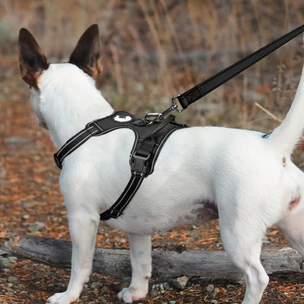 6FT × 1'' Dog Leash and Collar (18-28"), Reflective Soft Neoprene Padded Pet Collars Leashes for Extra Large Dog, Black -.