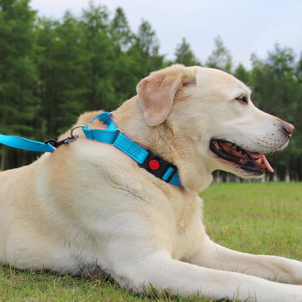 Martingale Dog Collar(12.5-16''), 6FT Double Handle Leash for Training, Sky Blue -.