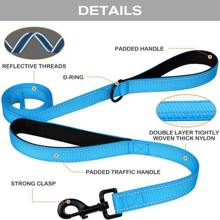 Martingale Dog Collar(12.5-16''), 6FT Double Handle Leash for Training, Sky Blue -.