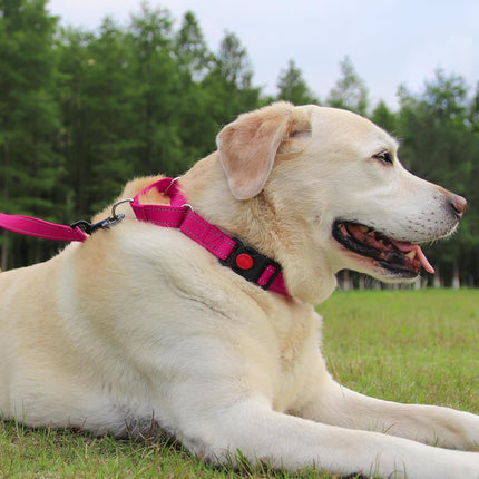 Martingale Dog Collar(16-20"), 6FT Double Handle Leash for Training, Hotpink -.