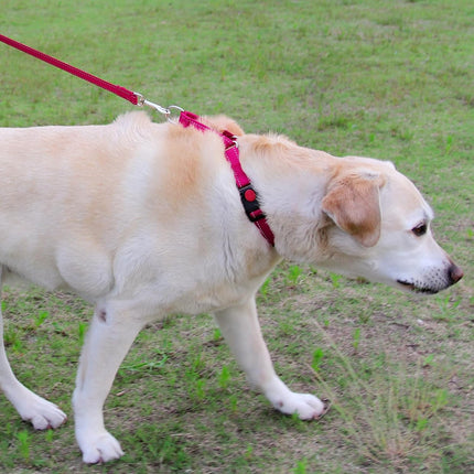 Martingale Dog Collar(16-20"), 6FT Double Handle Leash for Training, Hotpink -.