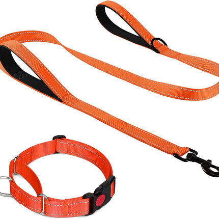 Martingale Dog Collar(16-20"), 6FT Double Handle Leash for Training, Orange -.