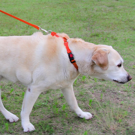Martingale Dog Collar(16-20"), 6FT Double Handle Leash for Training, Orange -.