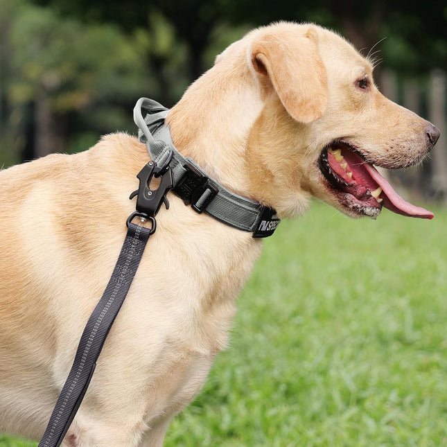 Tactical Dog Collar(15"-18") and Leash Set, Adjustable Strong Collar with Handle Shock Absorbing Bungee for Medium Dogs(Gray,M) -.