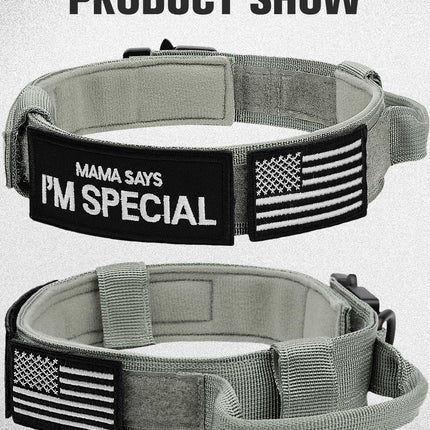 Tactical Dog Collar(15"-18") and Leash Set, Adjustable Strong Collar with Handle Shock Absorbing Bungee for Medium Dogs(Gray,M) -.