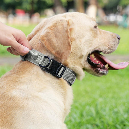 Tactical Dog Collar(15"-18") and Leash Set, Adjustable Strong Collar with Handle Shock Absorbing Bungee for Medium Dogs(Gray,M) -.