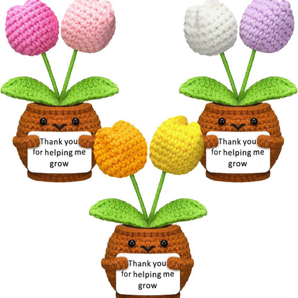 3 Pcs Teacher Appreciation Gifts Easter Gift Positive Flower Handmade Crochet Doll Thank You for Helping Me Grow Teachers Week(Tulip) -.