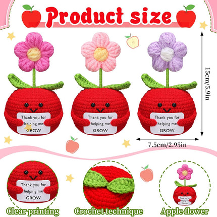 3 Pcs Teacher Appreciation Gifts Easter Gift Positive Flower Handmade Crochet Doll Thank You for Helping Me Grow Teachers Week(Apple Puff Flower) -.