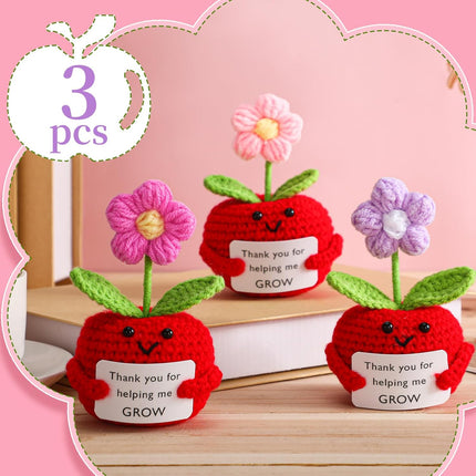 3 Pcs Teacher Appreciation Gifts Easter Gift Positive Flower Handmade Crochet Doll Thank You for Helping Me Grow Teachers Week(Apple Puff Flower) -.