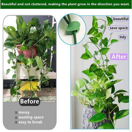 60 Pcs Plant Climbing Wall Fixture Clips Acrylic Self-Adhesive Sticker Fixer Vine Traction Invisible Holder Green Leaf Vines Hook Fixing Clip Indoor Outdoor Decoration - 60PCS.