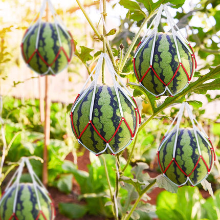 50 Pack Melon Hammocks Cradles Watermelon Nets for Melons Hanging Bags Watermelon, Honeydew Melon, Cucumbers, Cantaloupe -.