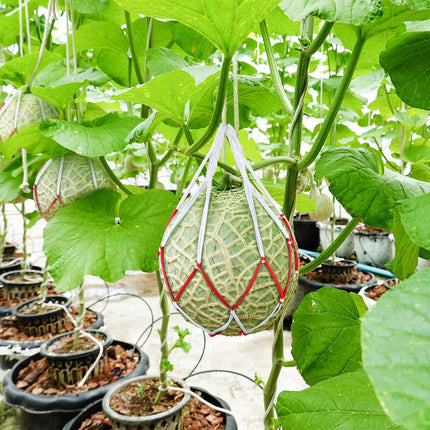 50 Pack Melon Hammocks Cradles Watermelon Nets for Melons Hanging Bags Watermelon, Honeydew Melon, Cucumbers, Cantaloupe -.