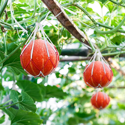 50 Pack Melon Hammocks Cradles Watermelon Nets for Melons Hanging Bags Watermelon, Honeydew Melon, Cucumbers, Cantaloupe -.