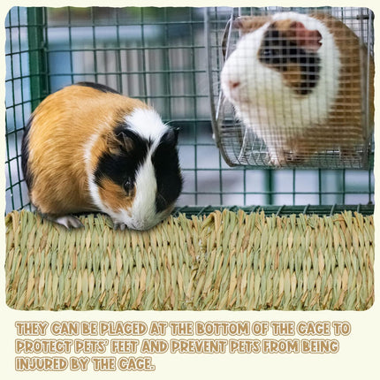 40 Pcs Grass mats for Rabbits Bunny Mat Woven Straw Bed Rabbit Sleeping Natural Chew Toy Parrot Chinchilla Squirrel Hamster Cat Dog Small Animal -.