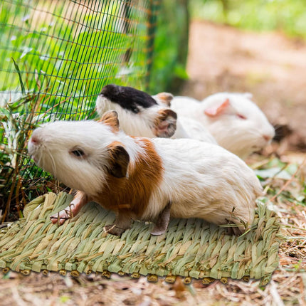 40 Pcs Grass mats for Rabbits Bunny Mat Woven Straw Bed Rabbit Sleeping Natural Chew Toy Parrot Chinchilla Squirrel Hamster Cat Dog Small Animal -.