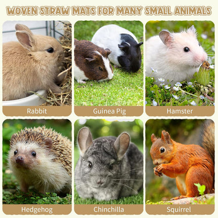 40 Pcs Grass mats for Rabbits Bunny Mat Woven Straw Bed Rabbit Sleeping Natural Chew Toy Parrot Chinchilla Squirrel Hamster Cat Dog Small Animal -.