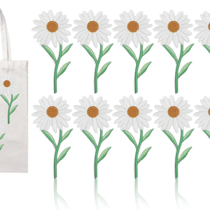 Home & Garden Cartoz.