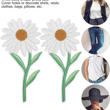 Home & Garden Cartoz.