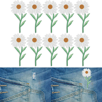 Home & Garden Cartoz.