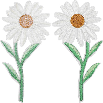 Home & Garden Cartoz.