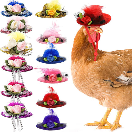Pet Care.
