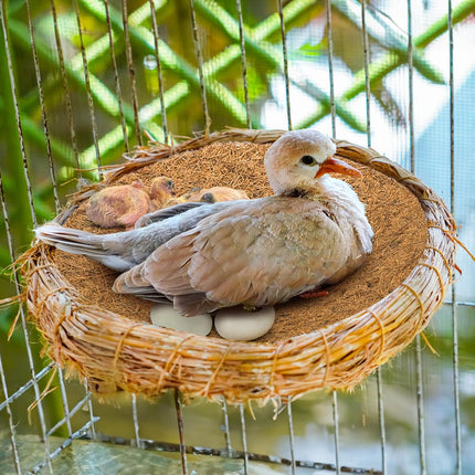 15 Packs Pigeon Nest Pads, Bird Breeding Mat for Chicken, Natural Coconut Fiber Egg Mat, Nesting Bowl Box Pad Parakeet Hatching Bedding Accessories.