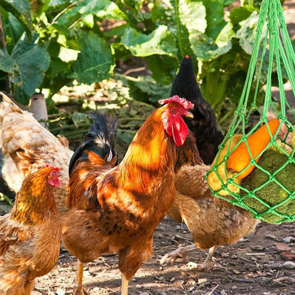 Feed bag - Feed net bag - Chicken, duck and goose feed net bag - Hanging - With carabiner - Feed tray for fruit and vegetables - 60 cm - 2 colours.