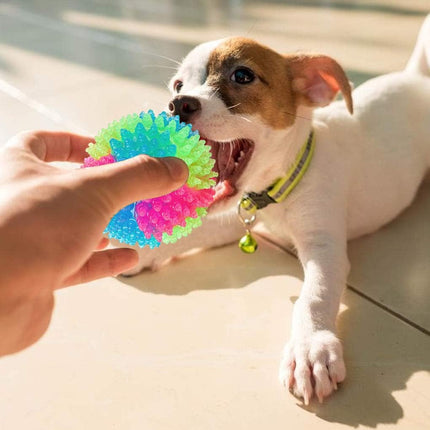 Pet toy ball - 5 cm - Light-up dog ball - Flashing bouncy ball - Interactive light-up - LED pet toy - Suitable for puppies, small and medium dogs and cats.