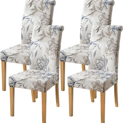 Furniture Cartoz.