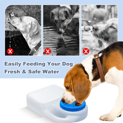 Pet Care Cartoz.