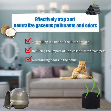 Pet Care Cartoz.