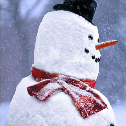 Wooden Simulation Christmas Snowman Costume Set Accessories Family Snowman Kit Toy Gift.