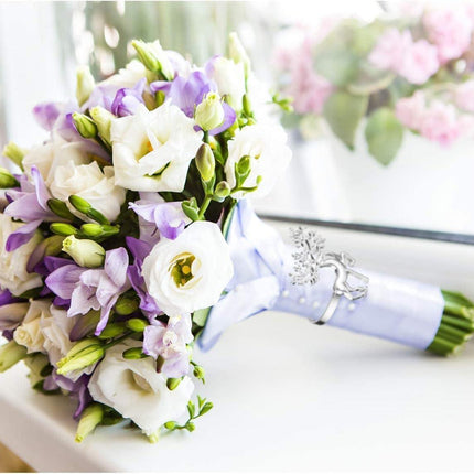 Occasions Cartoz.