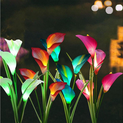 Home & Garden Cartoz.