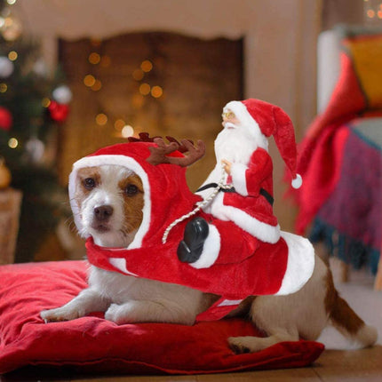 Pet Care Cartoz.