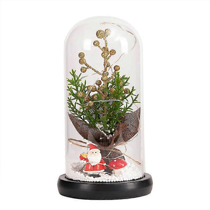 Glass Dome Christmas Plants Christmas Decorations Glass Dome Christmas Tree Branch with Lights.
