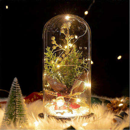 Glass Dome Christmas Plants Christmas Decorations Glass Dome Christmas Tree Branch with Lights.