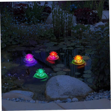 Home & Garden Cartoz.