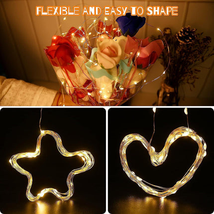 2M 20 LED String Lights, IP65 Waterproof, Halloween & Christmas Decor.