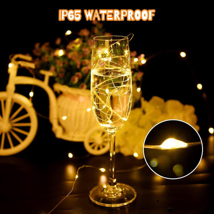 2M 20 LED String Lights, IP65 Waterproof, Halloween & Christmas Decor.