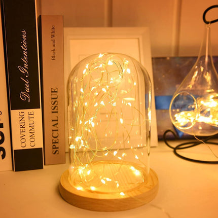 2M 20 LED String Lights, IP65 Waterproof, Halloween & Christmas Decor.