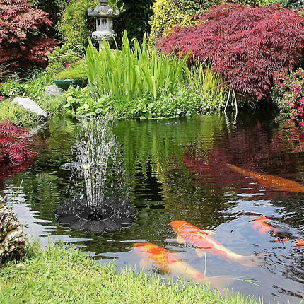 Home & Garden Cartoz.