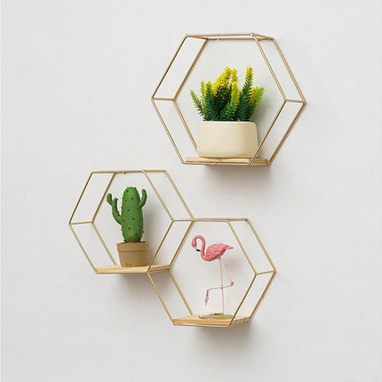 Nordic Hexagonal Iron Stand Small Pot Wall Holder Home Shelf Storage Holder-Golden M.