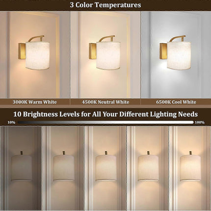 Battery Operated Wall Sconces Set of 2, Rechargeable LED Lights, Remote, 12 RGB Colors, Gold.