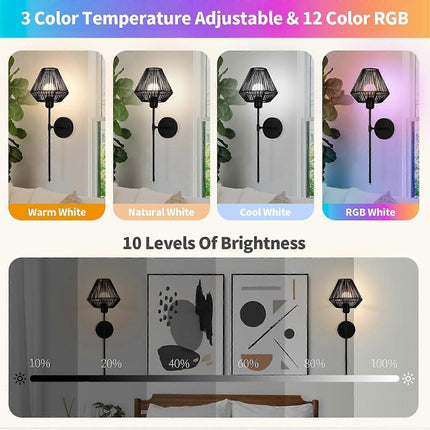 Battery Operated Wall Sconces Set of 2, Boho Rattan LED, Rechargeable, Remote, RGB Dimmable.
