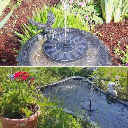Home & Garden Cartoz.