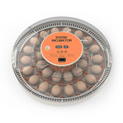 30 Eggs Incubator with Automatic Egg Turning Humidity Control Temperature Display and Egg Candler Light Cozy Incubator with External Injection Water Bottle for Hatching Chicken Bird Duck Quail Parrot Eggs